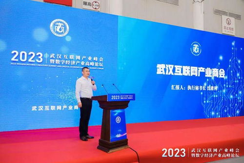 武漢互聯(lián)網(wǎng)產(chǎn)業(yè)峰會(huì)暨數(shù)字經(jīng)濟(jì)產(chǎn)業(yè)高峰論壇圓滿(mǎn)舉行，引領(lǐng)企業(yè)網(wǎng)站創(chuàng)新與變革