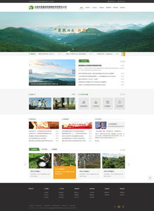 奧遠科技 云南昆明網(wǎng)站建設與網(wǎng)絡服務專家